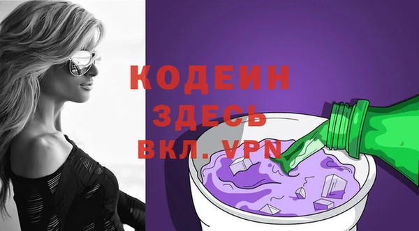 прущая мука Вяземский